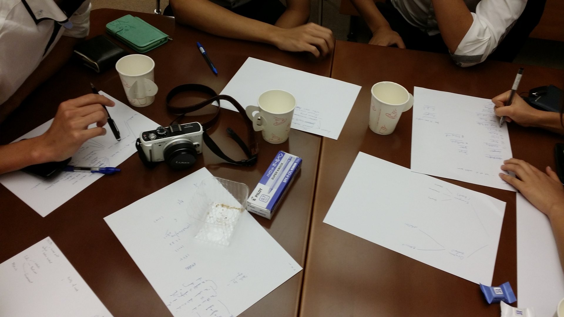 201407-08 Cambridge mentorship programme05